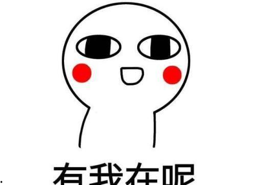 表情包Max,网络时代的幽默担当